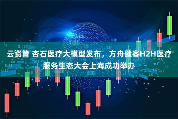 云资管 杏石医疗大模型发布，方舟健客H2H医疗服务生态大会上海成功举办