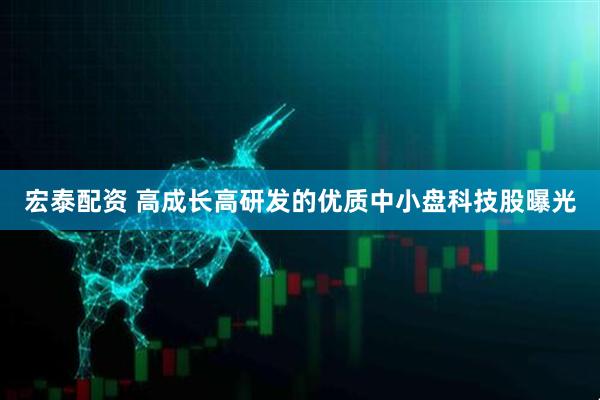 宏泰配资 高成长高研发的优质中小盘科技股曝光