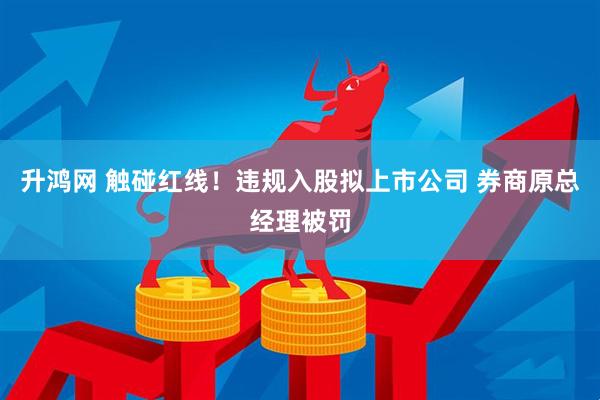 升鸿网 触碰红线！违规入股拟上市公司 券商原总经理被罚