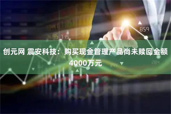 创元网 震安科技：购买现金管理产品尚未赎回金额4000万元