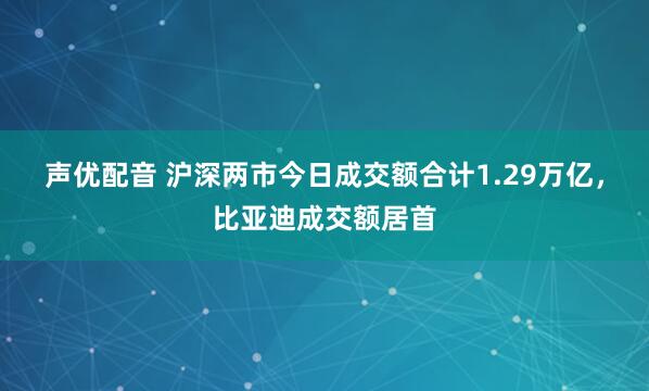 声优配音 沪深两市今日成交额合计1.29万亿，比亚迪成交额居首