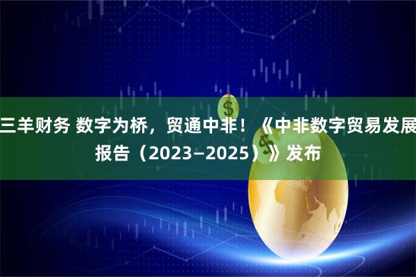 三羊财务 数字为桥，贸通中非！《中非数字贸易发展报告（2023—2025）》发布