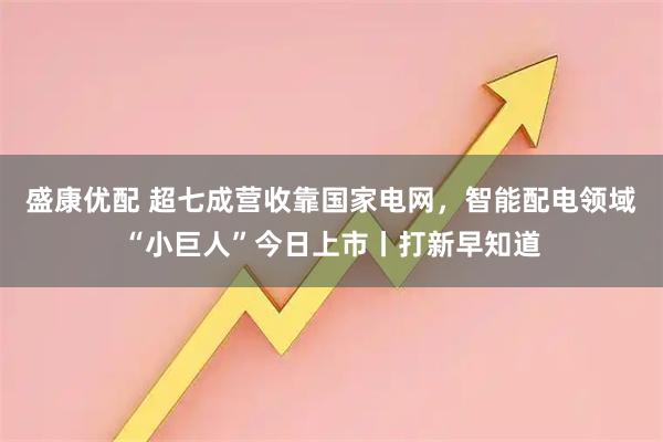 盛康优配 超七成营收靠国家电网，智能配电领域“小巨人”今日上市丨打新早知道