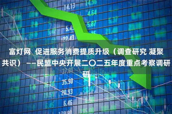 富灯网  促进服务消费提质升级（调查研究 凝聚共识） ——民盟中央开展二〇二五年度重点考察调研