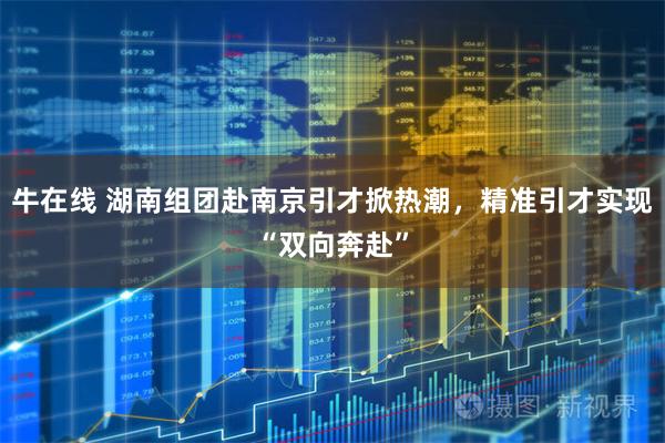 牛在线 湖南组团赴南京引才掀热潮，精准引才实现“双向奔赴”