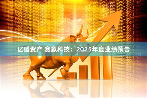 亿盛资产 赛象科技：2025年度业绩预告
