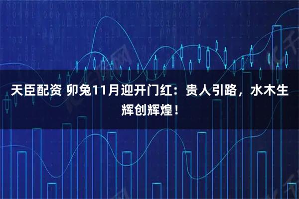 天臣配资 卯兔11月迎开门红：贵人引路，水木生辉创辉煌！