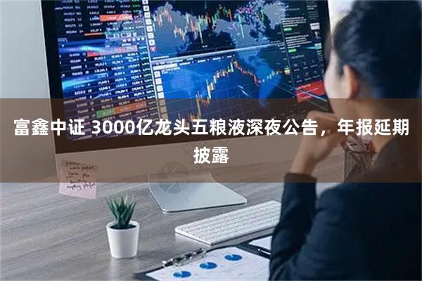 富鑫中证 3000亿龙头五粮液深夜公告，年报延期披露